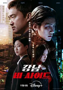 【韩国剧】江南重案组